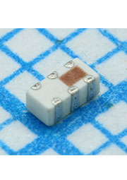 2450BM14G0011T
