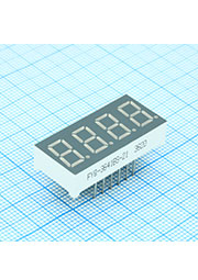 FYQ-3641BS-21